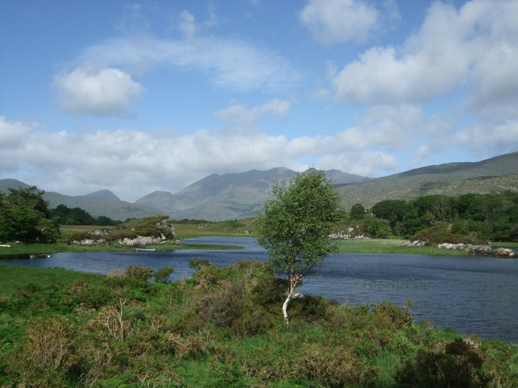 National Park, Killarney