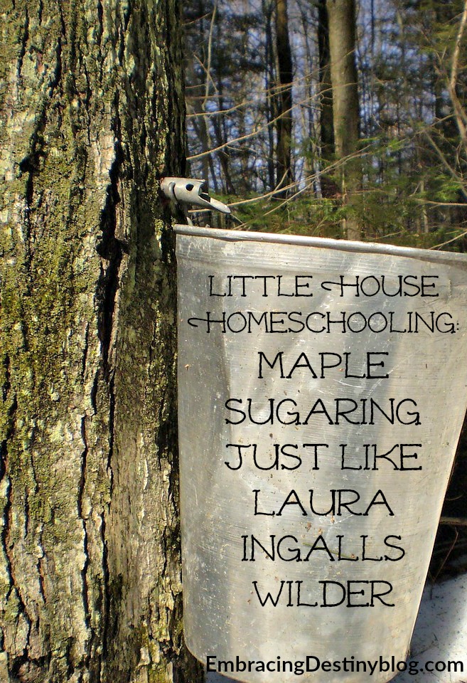 Maple Sugaring at Home : A Guide to Collecting..by Joe McHale (2010, Paperback) Maple Sugaring at Home : A Guide to Collecting..by Joe McHale (2010, Paperback)