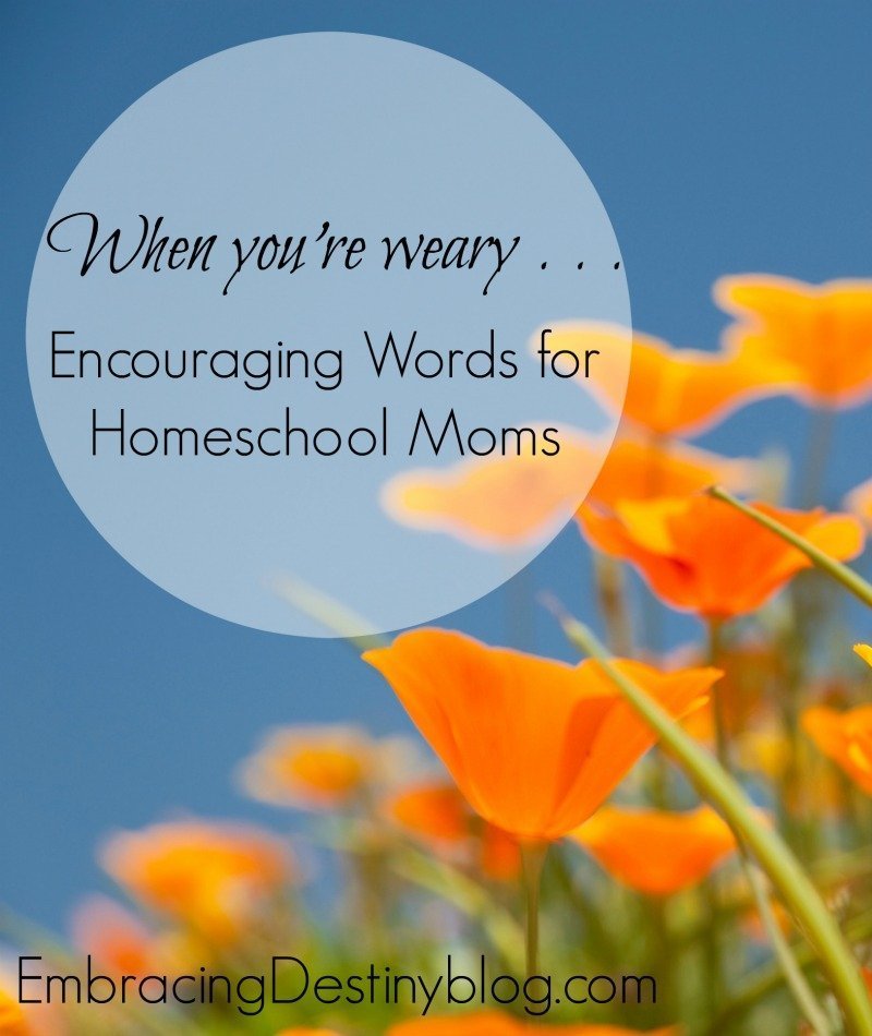 150-encouraging-words-for-single-moms-who-need-inspiration-the-write